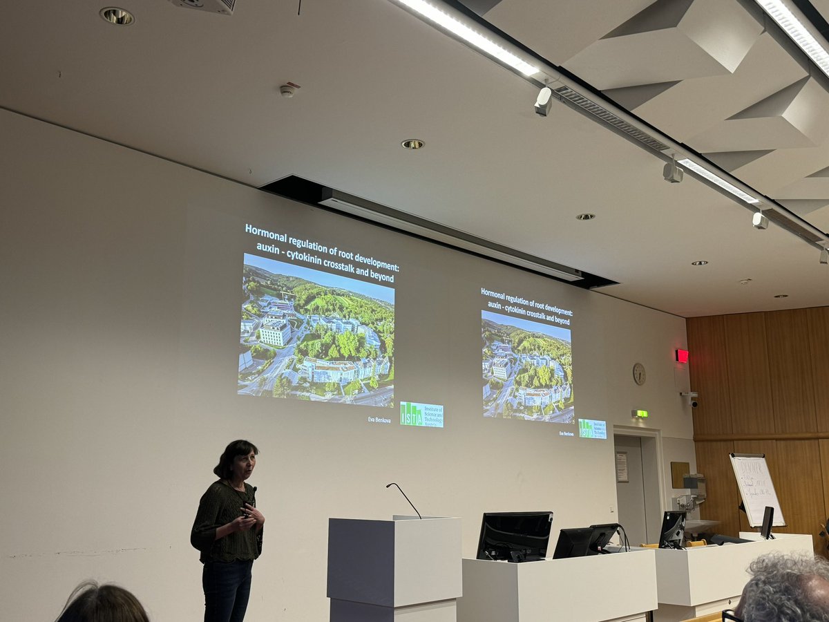SFB1101 (@sfb1101) on Twitter photo The last speaker today is <a href="/BenkovaGroupIST/">Benkova Group</a> who will talk about root development and auxin-cytokinin crosstalk #CRC1101 The last speaker today is <a href="/BenkovaGroupIST/">Benkova Group</a> who will talk about root development and auxin-cytokinin crosstalk #CRC1101