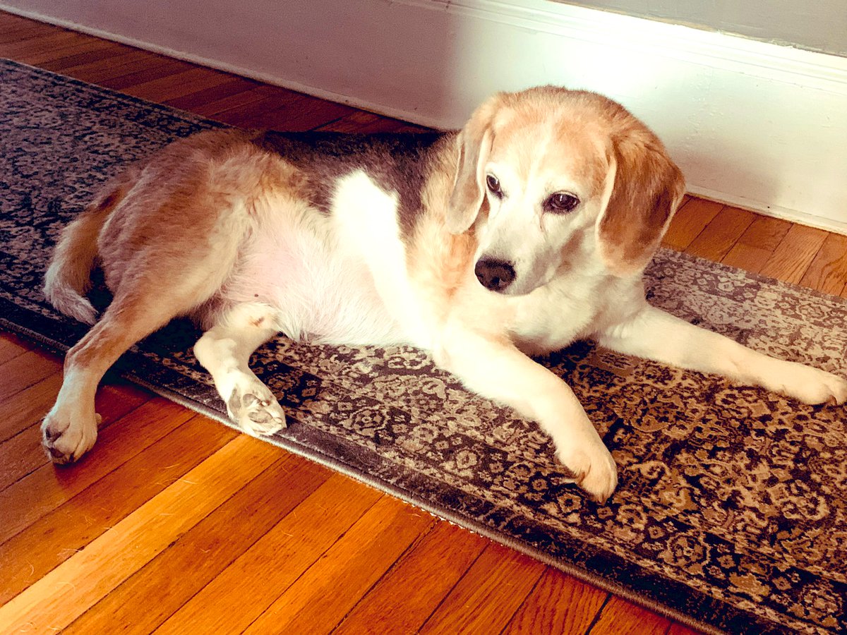 MsMagnifisent's tweet photo. My old man just being cute https://t.co/6RotDFOkWj
