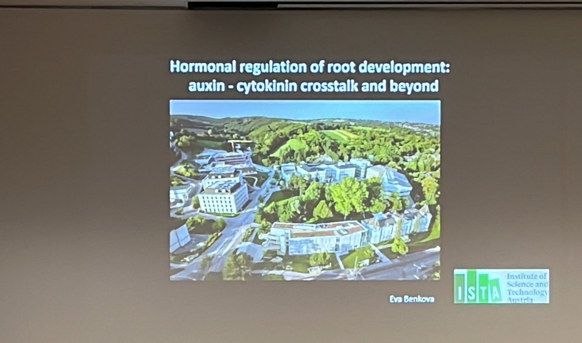 Yasin Dagdas (@plantophagy) on Twitter photo #CRC1101 2nd day is finishing on a high! <a href="/BenkovaGroupIST/">Benkova Group</a> talking on hormonal regulation of development. #CRC1101 2nd day is finishing on a high! <a href="/BenkovaGroupIST/">Benkova Group</a> talking on hormonal regulation of development.