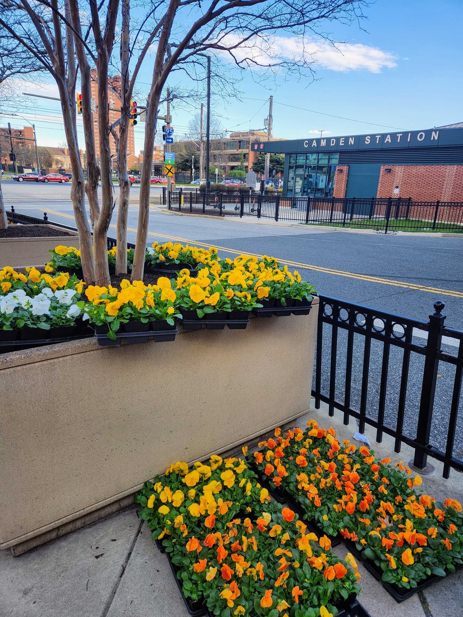 exit10agency's tweet image. Signs of spring on Camden St. 🌼