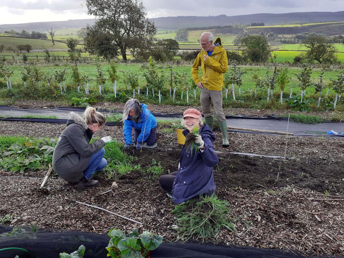 podcasts.apple.com/gb/podcast/ser… Tree Amble has just published its latest podcast on Holme Grown Eastby - a community and well being project producing wonderful vegetables and biodiversity... what is not to like??