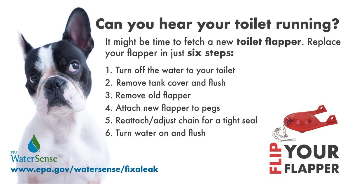 NARUC's tweet image. Calling all the dog lovers to #FlipYourFlapper! 📢🐶 Follow the steps to check your toilet for leaks. You can save on your water bill and ensure an eco-friendly home by avoiding water waste. 💧 #FixaLeakWeek @EPAwatersense