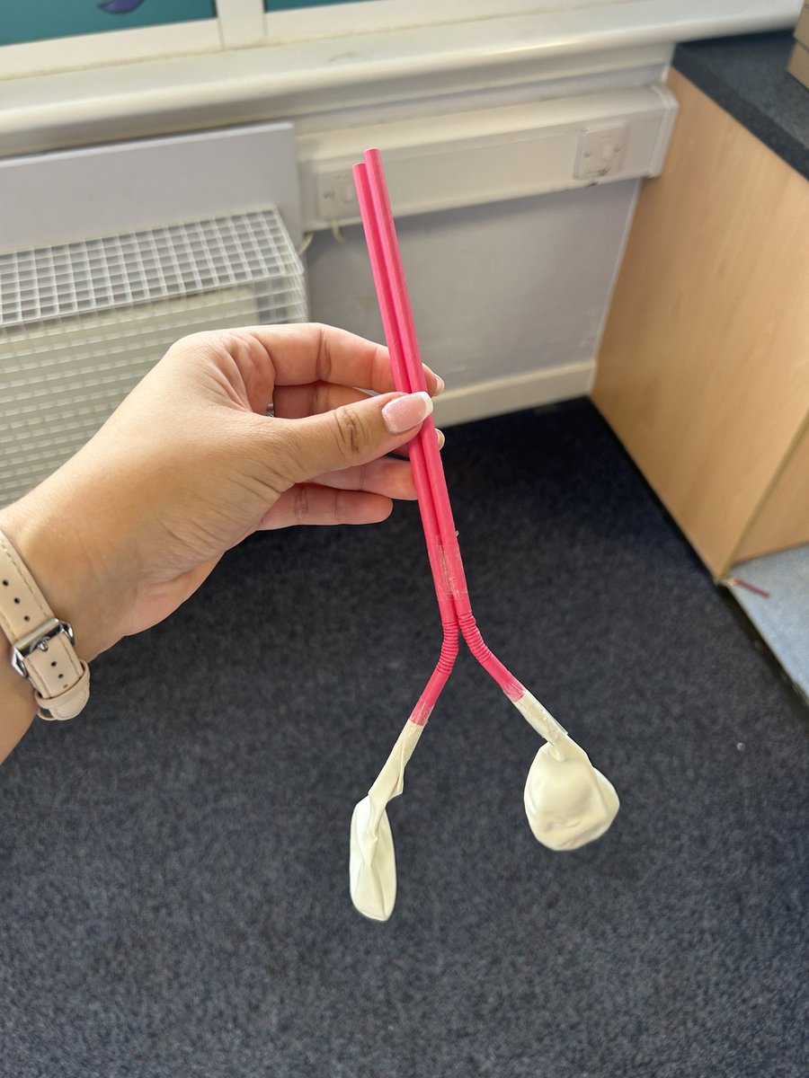 waldron_miss's tweet photo. We made some respiratory systems today!🫁🧑🏼‍🔬🔬🧬

Complete with trachea, throat, lungs and even a rib cage! Primary 6 can now successfully identify and explain the function of the different parts of the respiratory system🫁👩🏽‍🔬🫀 https://t.co/Xu6mA8iwBe