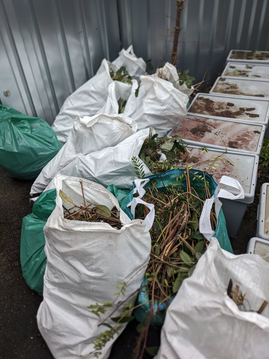 Day 1 of our Big Spring Clean-up at Zest's Peace Garden Park today. We'll be there again tomorrow - forecast ☀ 👋if you see us. And look out for events and opportunities to spend time in our outdoor spaces over summer. We'd love to see you. #GBSpringClean #lovewhereyoulive