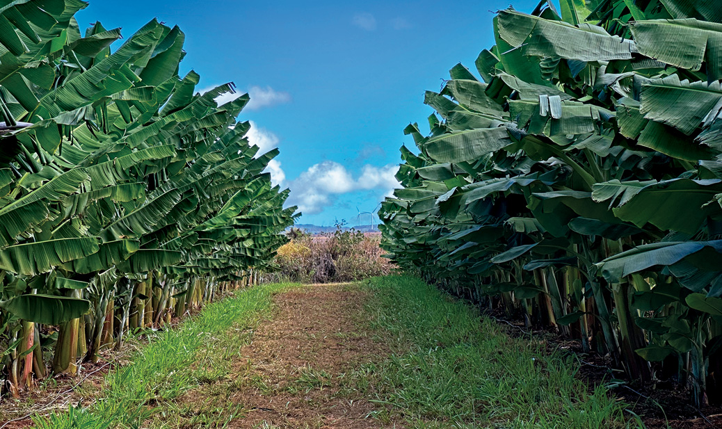 Latest news about Landscape Architecture from the team at OL Magazine! A Buffer Buffet bit.ly/4aooU3T #landscapedesign