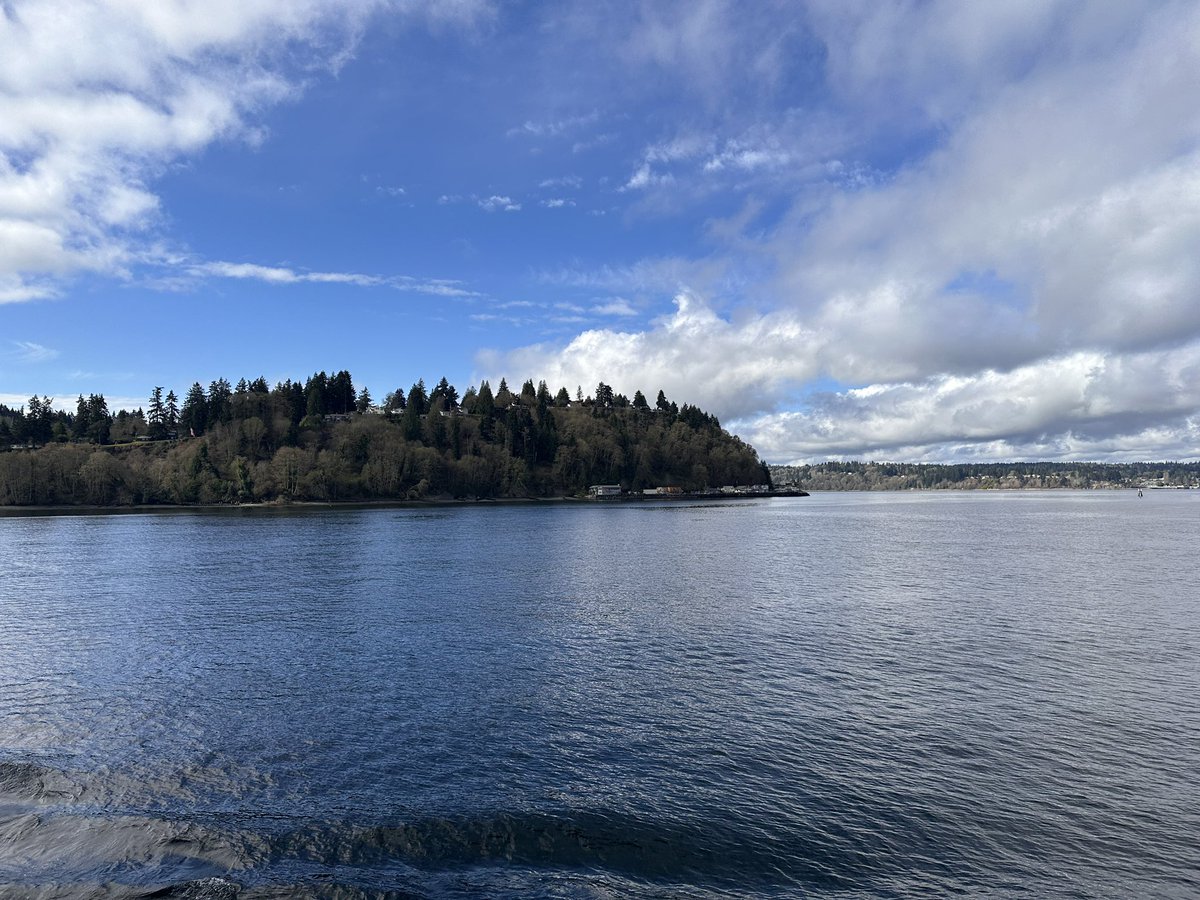 In Seattle. Is there anything more wholesome than a bunch of people excitedly jumping out of their cars bc the ferry boat captain announced whale sighting? No. No there absolutely is not. I didn’t see said whale but no complaints with this view at all.