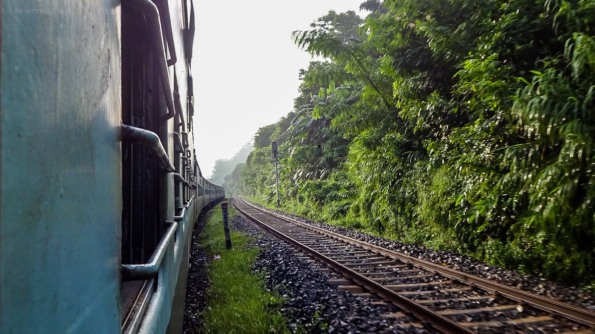 #InternationalDayofForests 

Inframe : 55601 #Guwahati - #Lumding Passenger led by #Malda WDM-3A cruising through the forest of #Panbari

@RailMinIndia | @Railnf | @drm_lmg_nfr

#NortheastFrontierRailway
#NFRailEnthusiasts