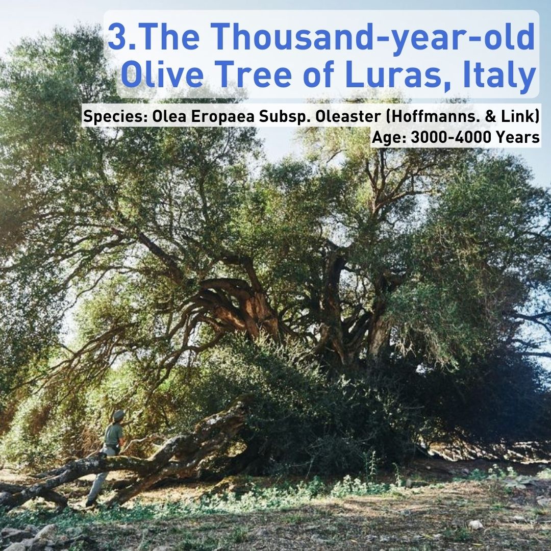 CGTN Europe tweet media