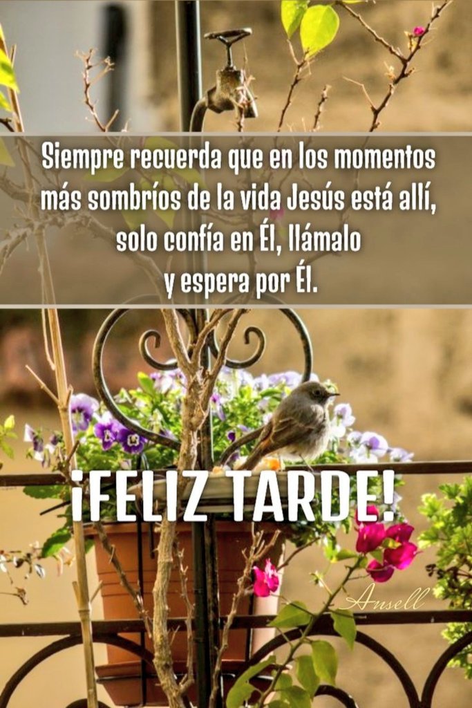 F e l i z t a r d e !! 🍃🌺 #UnidosHacíaLaGrandeza #21Mar || 🙏💕 @GranSabanaPura @EricCue5 @cres_pao @ivoneyepez21 @mguevara1331 @edalge @0425SHOGUN @M7809842Maria @Mariang1Agube @LOVEKISSNOW009 @RobertN88876474 @Neyda21708001 @JoseNue92977240 @JoseRafaelbenc2 #Jueves 🌺