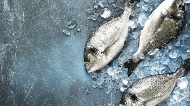 World Food Safety Day is coming! We're already getting prepped for this year's theme: Prepare for the unexpected. Here's 10 reasons why we are especially excited to celebrate World Food Safety Day this June...bit.ly/3wX0tft