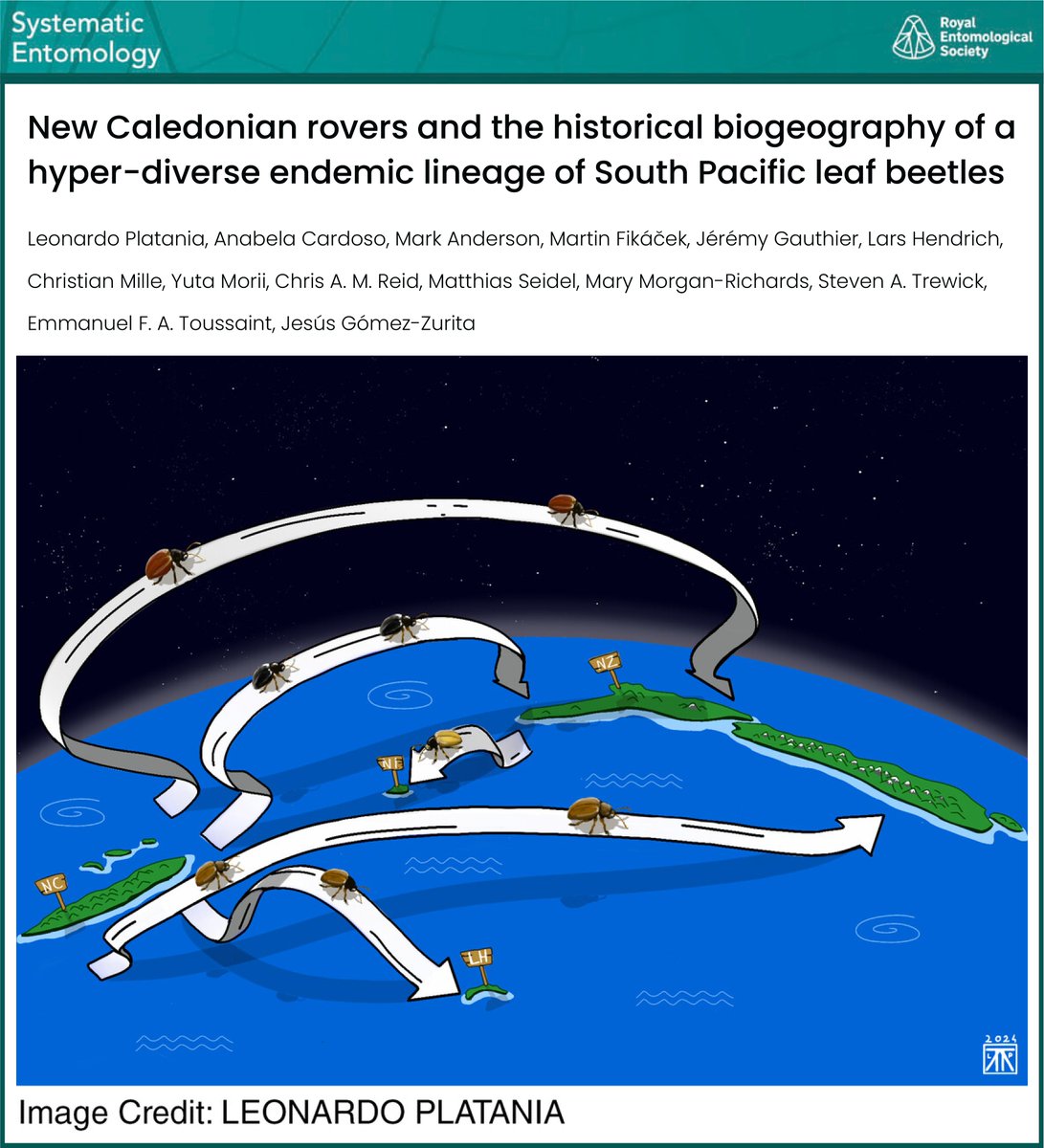 New Paper out in @Systematic_Ent Eumolpinae from New Caledonia have been quite crazy in the last 25 Ma! Long Distance Dispersal emerges as the main process shaping the lead #beetle diversity in the archipelagos of #Zealandia Check it Out! 🪲 shorturl.at/biqLZ 1/8