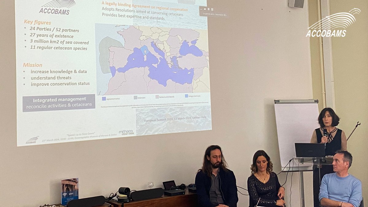 ACCOBAMS's tweet photo. Today at #MOW2024, #ACCOBAMS, @OceanCare &amp; #WeAreMéditerranée present and tackle maritime traffic‘s impact on marine life, showcasing the #NETCCOBAMS platform for monitoring vessels in critical areas. 

#ShipStrikes #CetaceanConservation https://t.co/ARdxLa98tg