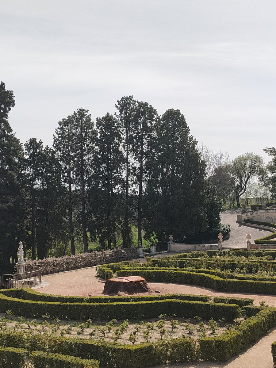 Gomecello's tweet photo. Verano de 2023: moría uno de los dos secuoyas gigantes* de los Jardines de la Quinta del Duque del Arco (El Pardo, Madrid).Había sido plantado en 1873 (150 años).
Hoy, al inicio de la primavera de 2024, han talado su tronco seco.
(*) #Sequoiadendron giganteum https://t.co/sJjPObkGFD
