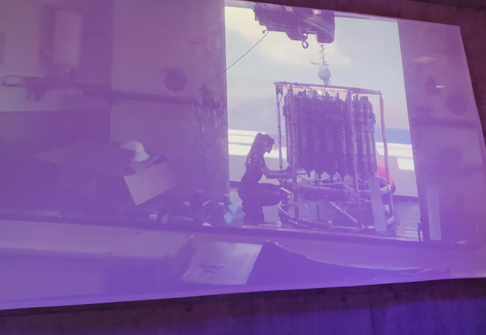 Working with the Rosette