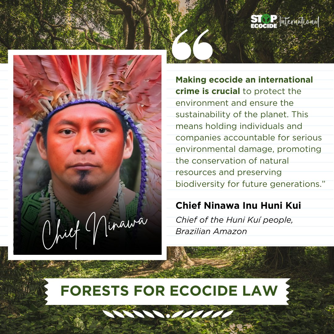 StopEcocideBe's tweet image. Celebrate the role of 📷 in our lives this International #ForestDay! Join the Forests for #EcocideLaw Network!More about network + our incredible partners, inc' @friendship_ngo, @MjpeRdc, @ecosia + Chief Ninawa: stopecocide.earth/forests#StopEc… #InternationalDayofForests