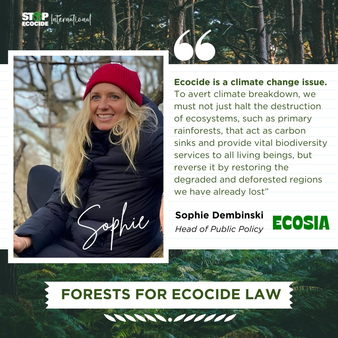 StopEcocideBe's tweet image. Celebrate the role of 📷 in our lives this International #ForestDay! Join the Forests for #EcocideLaw Network!More about network + our incredible partners, inc' @friendship_ngo, @MjpeRdc, @ecosia + Chief Ninawa: stopecocide.earth/forests#StopEc… #InternationalDayofForests