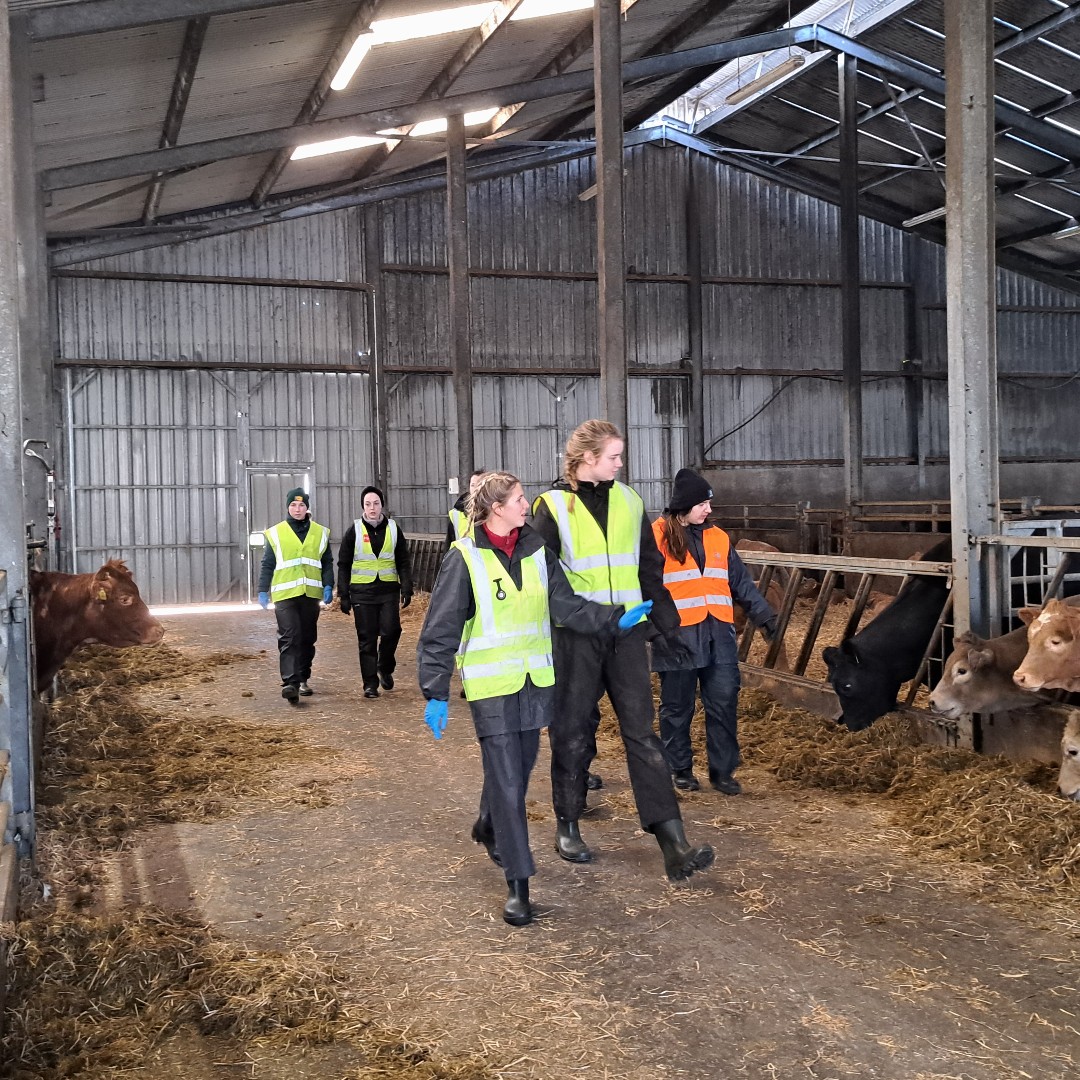 This past couple of weeks we've had the delight of hosting Veterinary Nursing students from TUS as they complete a number of classes and practical's on our farm and in our equine unit! They've been wonderful to host, and we hope they found their time with us educational!