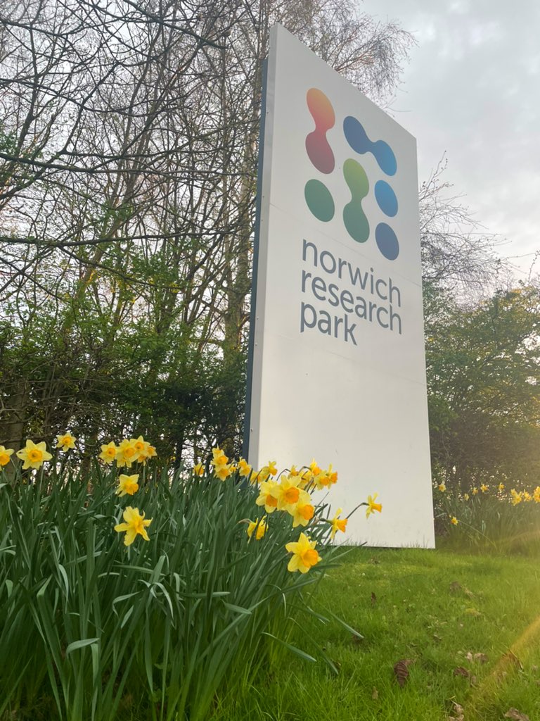 Spring time <a href="/NorwichResearch/">Norwich Research Park</a> Park
😴