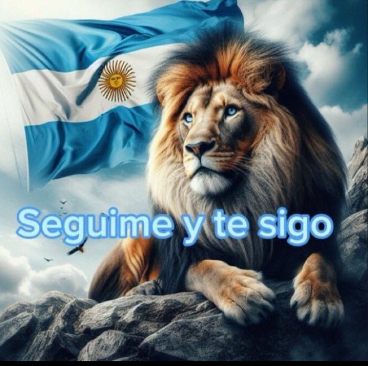 Fogatela's tweet photo. INVOCO A LAS FUERZAS DEL CIELO PARA QUE LLEGUEN A SUS PRIMEROS 10.000 SEGUIDORES 🚨

🫡 OBLIGATORIO devolver el Follow

🚨 PARA DIFUNDIR:
- SEGUIME y TE SIGO
- Dale RT y TE SIGO
- RESPONDE este tw y TE SEGUIMOS 

🦁#VLLC ! 🦁 https://t.co/ZzsH8li9EB