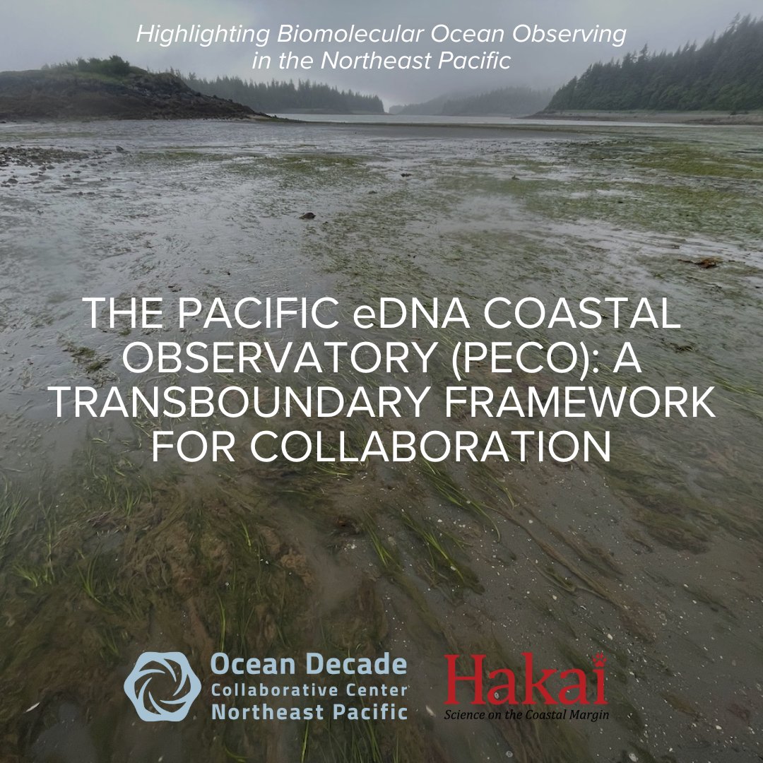 Our newest blog highlighting @UNOceanDecade biomolecular #oceanobserving in the NE Pacific is live! 🧬🌊 The Pacific eDNA Coastal Observatory (PECO) project has set up eDNA monitoring sites in #seagrass habitats from Alaska to Southern California 🌿🐟 🔗 tinyurl.com/4dft8r8p