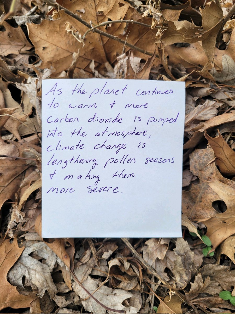 ComicsClimate's tweet image. Comic #164 #ComicsForClimate #allergies #hayfever #coughing #sneezing #earth #pollen #pollenseason #climate #climatechange