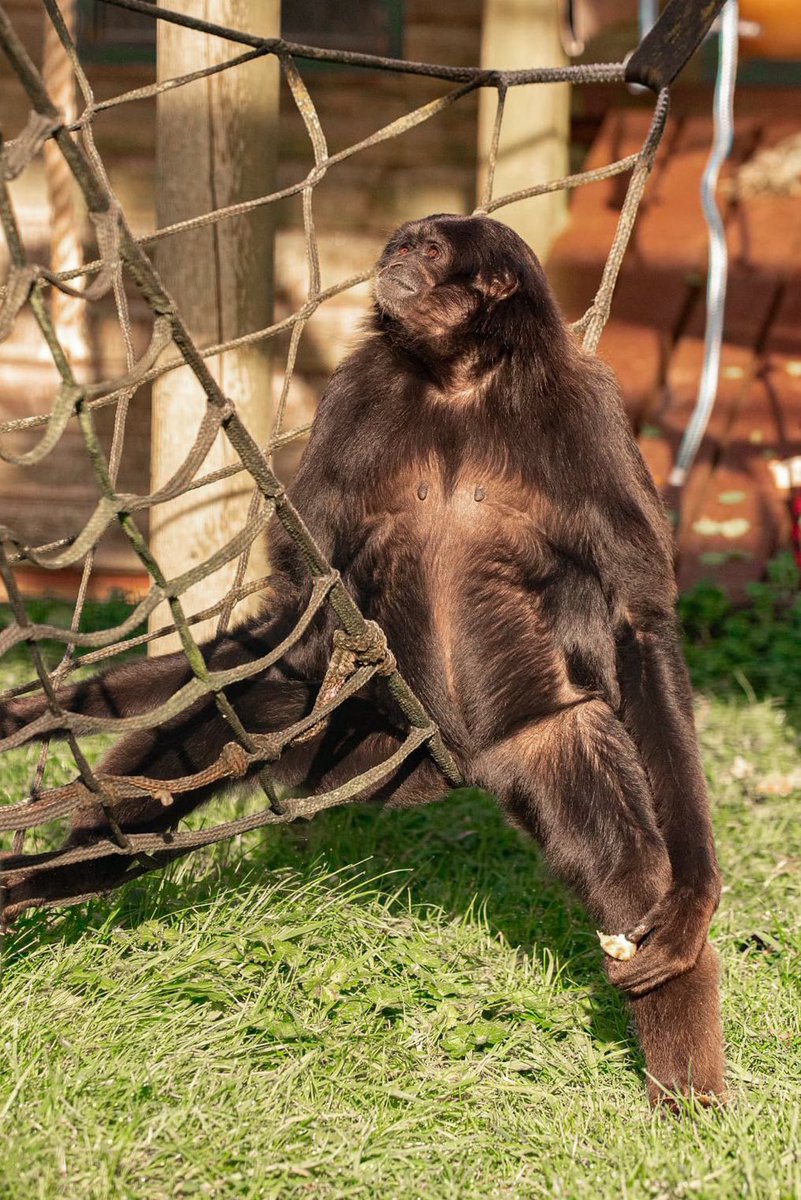 Kajan making the most of those rays!🌤️😎 #springisintheair #bringonthesunshine 
#easteriscoming #springvibes