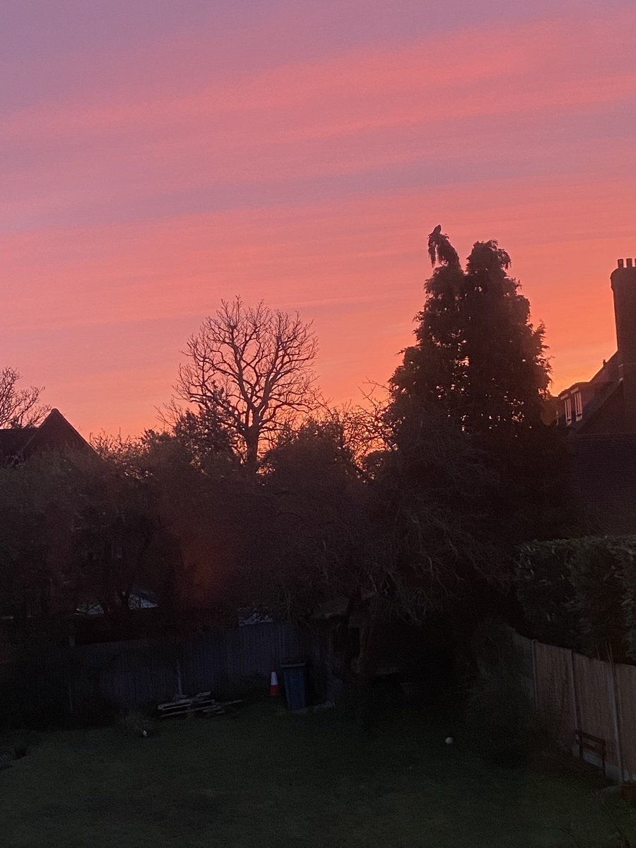 ColinMorley2's tweet photo. @lacoconoire I had a similar view this morning. https://t.co/bHbKyO0blP