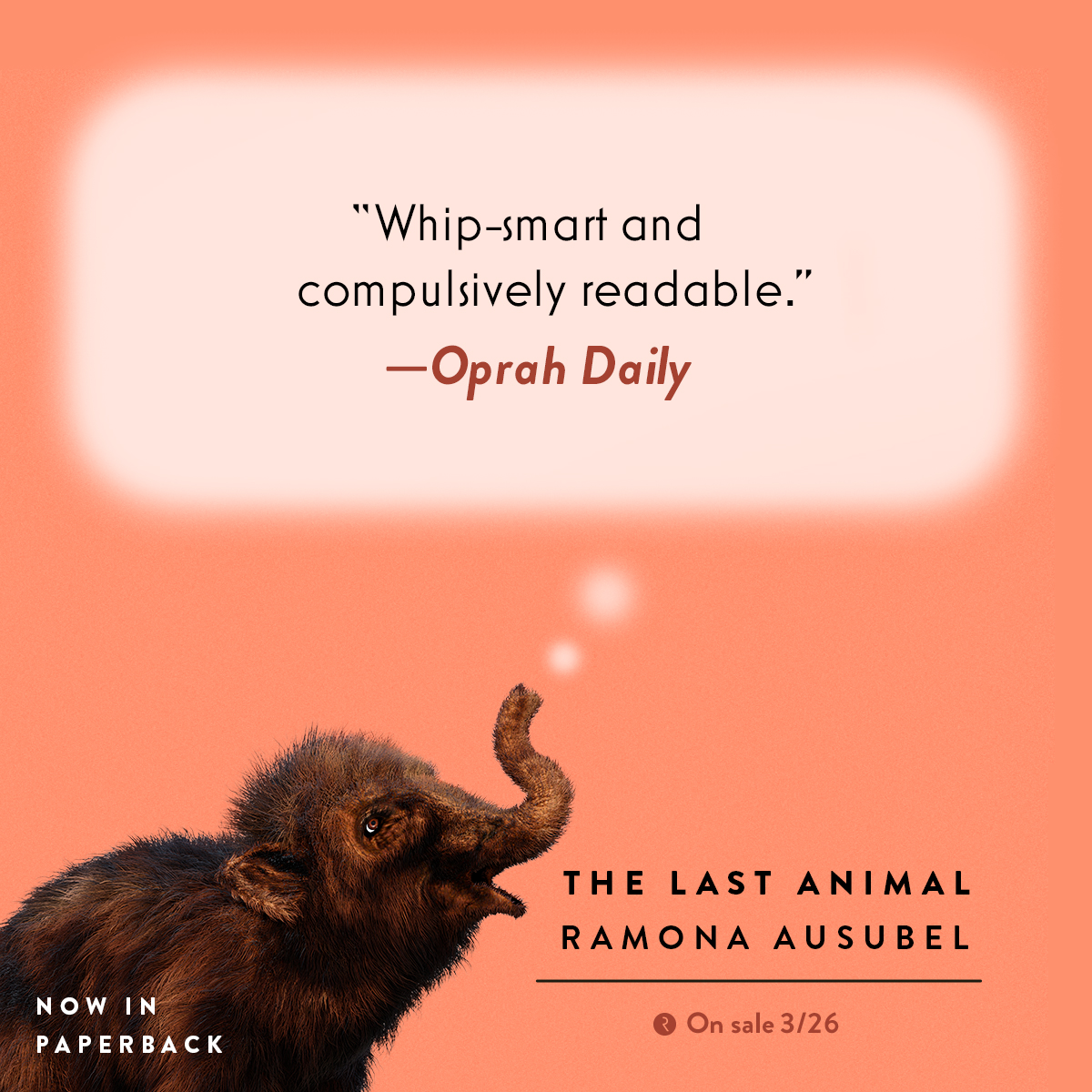 'Surprising, funny, and poignant...both a wildly entertaining adventure story and a meditation on what it means to love.' @OprahDaily @ramona_ausubel's stunning and lovely novel, THE LAST ANIMAL, is now available to read in paperback! Get your copy today: bit.ly/3yWTuBo