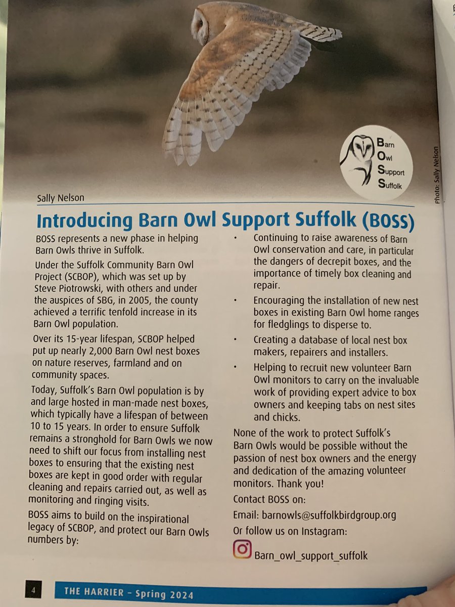 Nice piece on Barn Owl Support Suffolk in @SuffolkBirdGrp Harrier, get in touch! #BOSS @SWTWildFarms