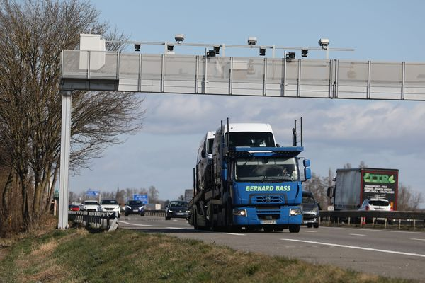 Taxe poids lourds en Alsace : les transporteurs régionaux vent debout, "à la fin, ce sont les consommateurs alsaciens qui paieront"
france3-regions.francetvinfo.fr/grand-est/alsa…