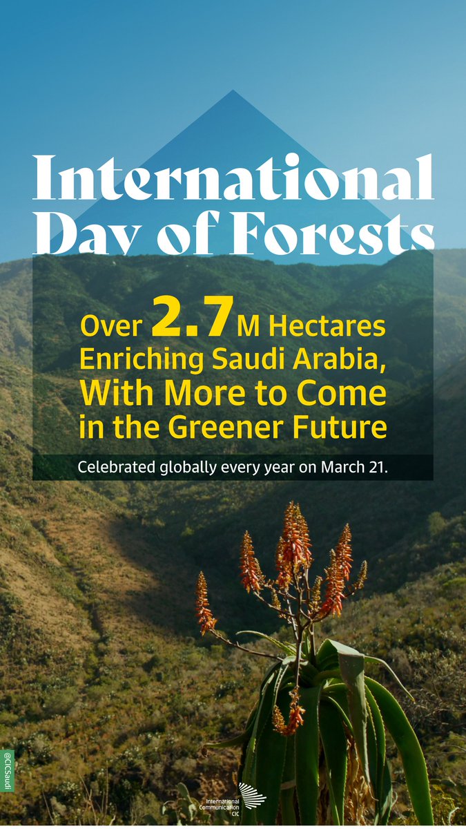 The backbone of the planet’s climate, its millions of species, and some one billion people who depend on it for livelihood… that would be forests in all their forms and shapes. #IntlForestDay
