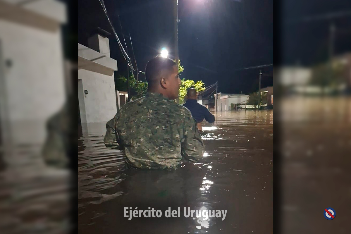 [Imagen: GJNv0tQXsAA2uFh?format=jpg&name=medium]