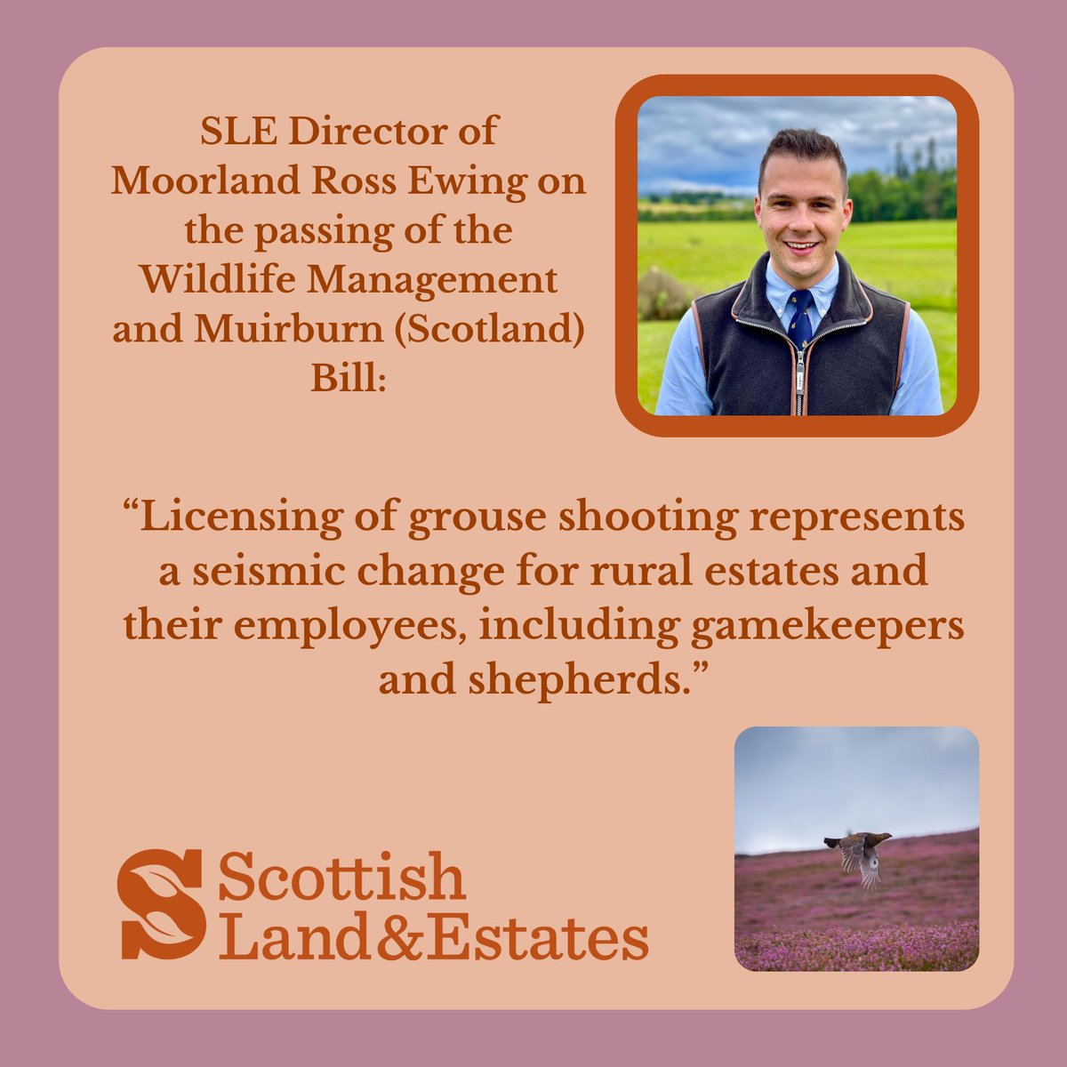 After over a year of scrutiny, the Wildlife Management and Muirburn (Scotland) Bill was passed in the Scottish Parliament this afternoon. Our Director of Moorland Ross Ewing, who has led SLE’s work with MSPs to help shape the Bill, has released a statement.