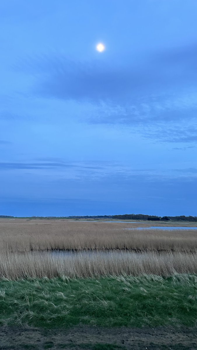 Twiggy Bigwood tweet media