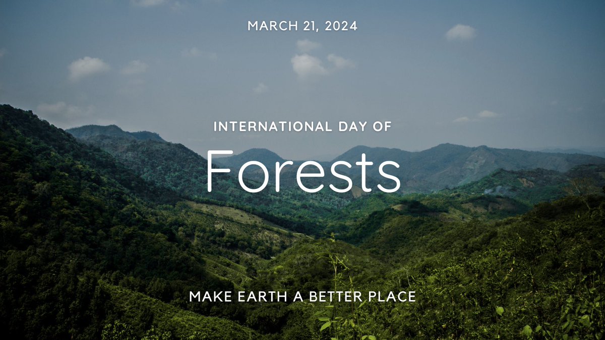 On #InternationalDayofForests, let’s reflect on the vital role forests play in combatting climate change. The Amazon, once a crucial carbon sink, now emits more CO2 than absorbed due to deforestation. We must take action now and pursue #sustainable solutions before it’s too late