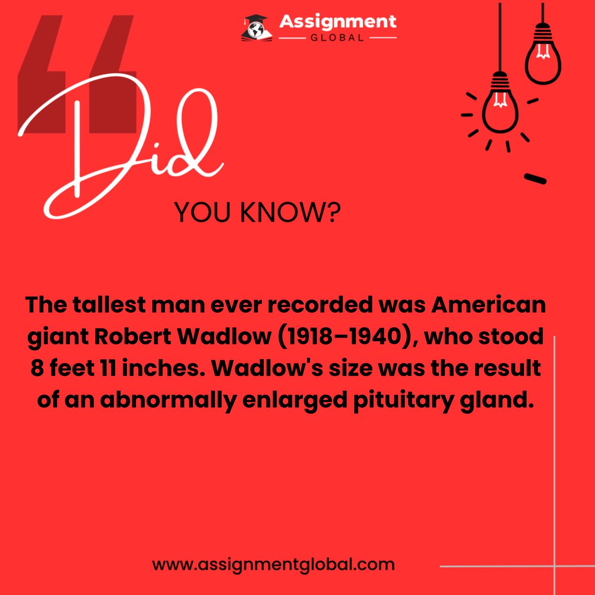 AssignGlobal's tweet image. fun fact 
#daquan #9gag #8fact #lloyd #jackwhite #straya #jimcarrey #miniaussie