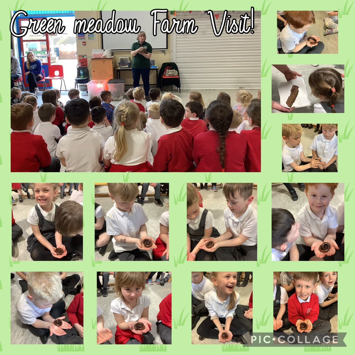 NewInnPrimary's tweet photo. Thank you so much to Claire at @GMCFWales . The children in Dosbarth Miss Haftowski loved listening to all of the facts about the farm animals and had lots and lots of questions! Well done to those brave children for holding the Millipede! 🤩@EAS_STEM #STEM #stemweek2024 https://t.co/XduScrV9Zg