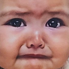 rustledfluff.bsky.social tweet media