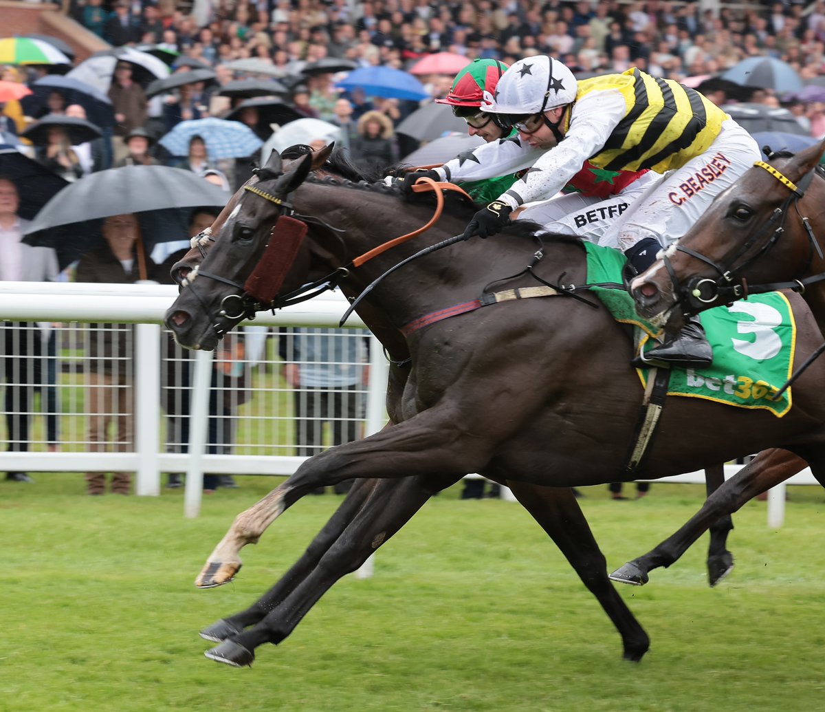 Dods dreaming of more Group 1 success as new turf season dawns. Denton Hall preview of the 2024 turf season with plenty to look forward to. michaeldodsracing.co.uk/news-listing/d…