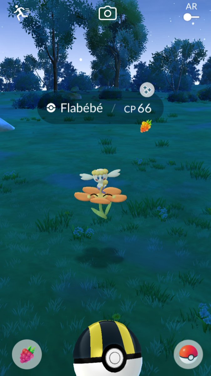 Shiny Orange Flabebe #shiny #shinypokemon #PokemonGOApp #PokemonGO #pokemon #pokedex #shinyCheck #pokemongofriends #PokemonGOCommunityDay #PokemonGOApp #SinnohTour #PokemonDay