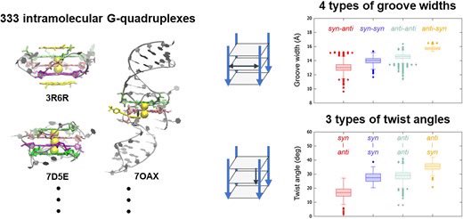 Comprehensive analysis of intramolecular G-quadruplex structures: furthering the understanding of their formalism doi.org/10.1093/nar/gk…