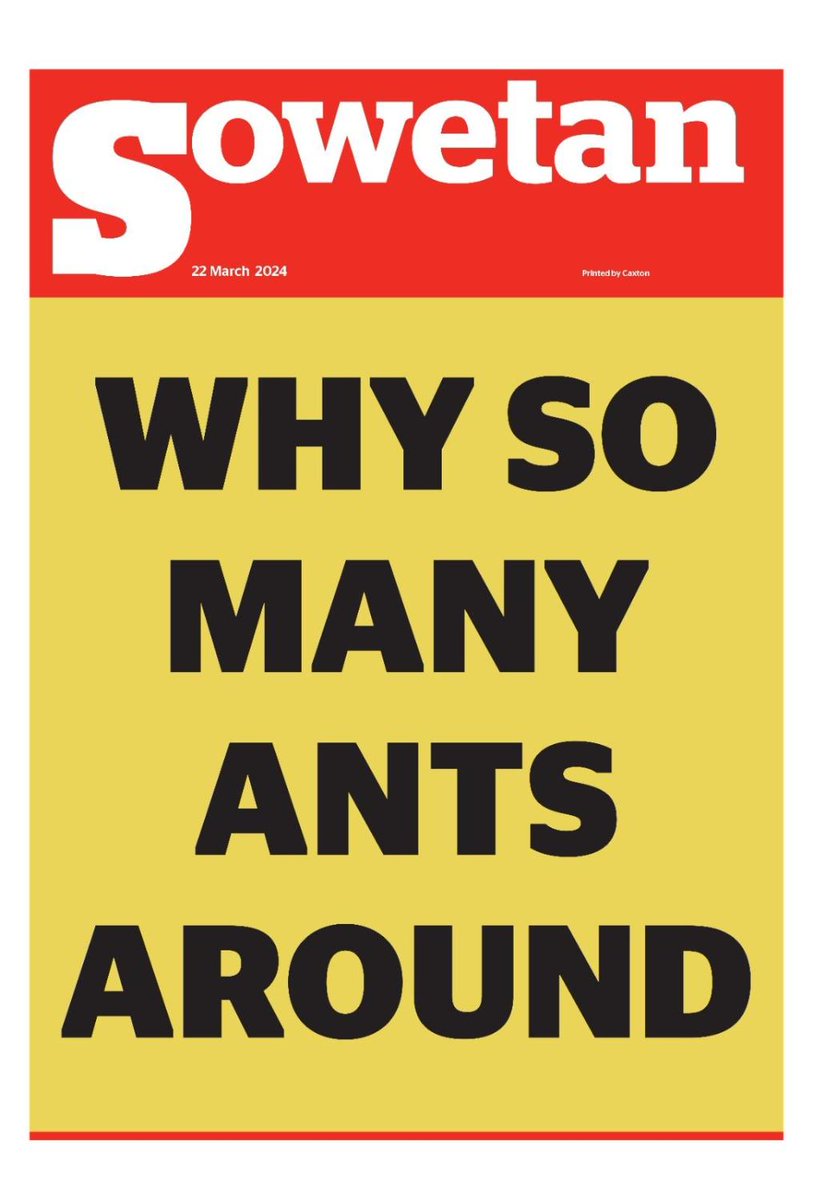 Ever wondered why your home is suddenly infested with ants sometimes in the most awkward places of your home?