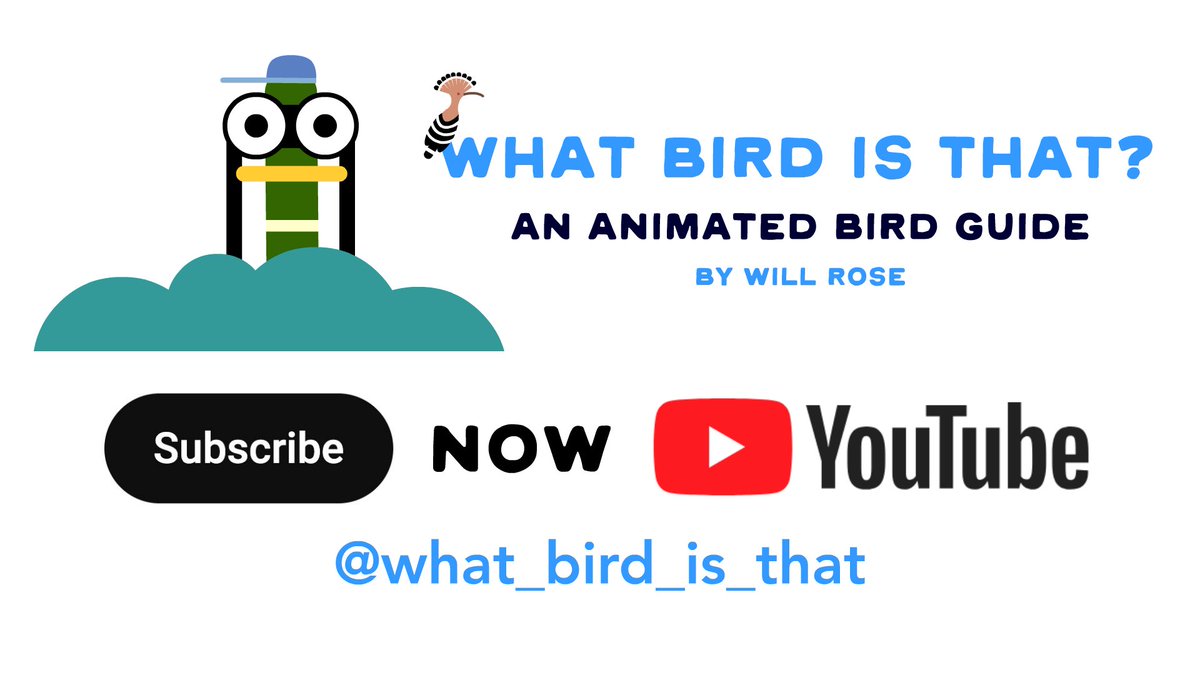 Thank you to all you lovely folks who liked and shared my trailer for my brand new animated bird guide. I you'd like to watch Episode 01 ( coming next Wednesday), then please follow this link and head to my Youtube channel to subscribe ! youtube.com/channel/UCqKz5…