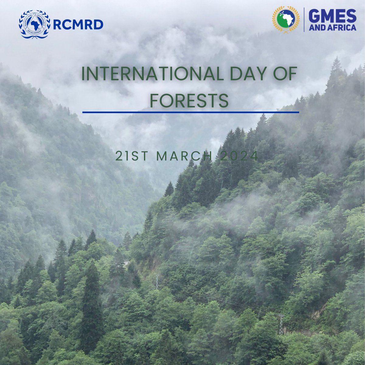 Forests are the lungs of the planet; they are magical places full of life that host more than 75% of the world's terrestrial biodiversity. #WorldForestDay #InternationalDayofForests