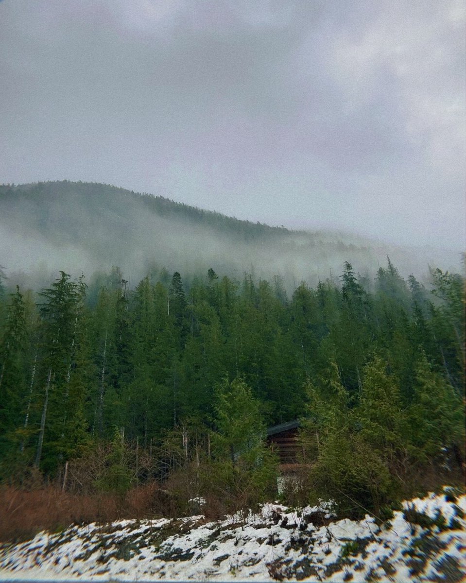 Happy International Day of Forests!🌲

The theme for #ForestDay 2024 is Forests and Innovation: New Solutions for a Better World.🌎

At #UBCForestry, we're committed to understanding, protecting, and sustainably managing our forests for generations to come.🌳