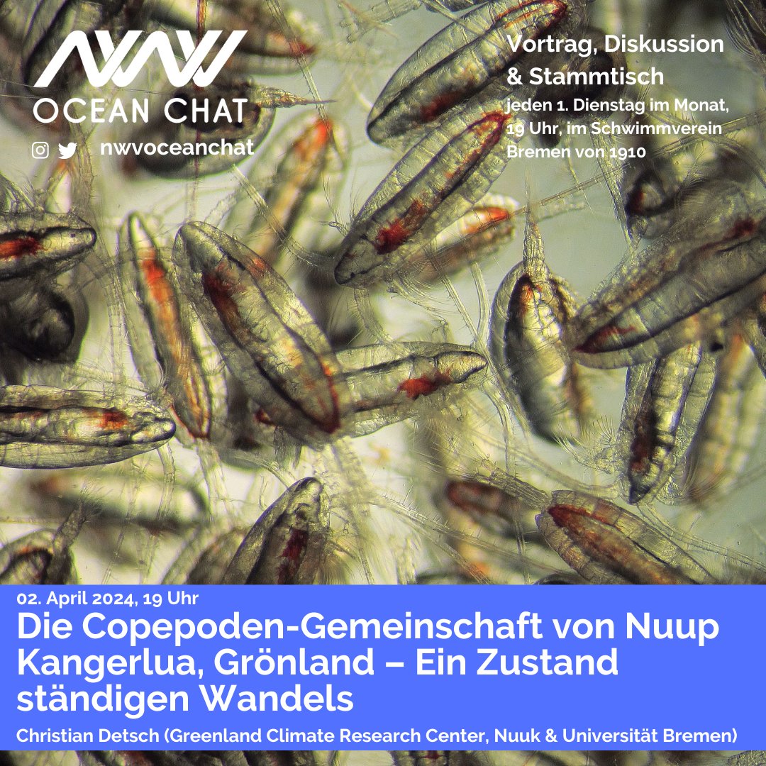 Am 02.04 gibt es einen neuen Ocean Chat! Christian Detsch (Uni Bremen) wird über sein Erasmus-Praktkium in Grönland und seine Arbeit am @GCRC_GINR berichten. Im Zuge dessen spricht er über sein Projekt der dort heimischen Copepoden-Gemeinschaft. Kommt also gerne vorbei! 🌊