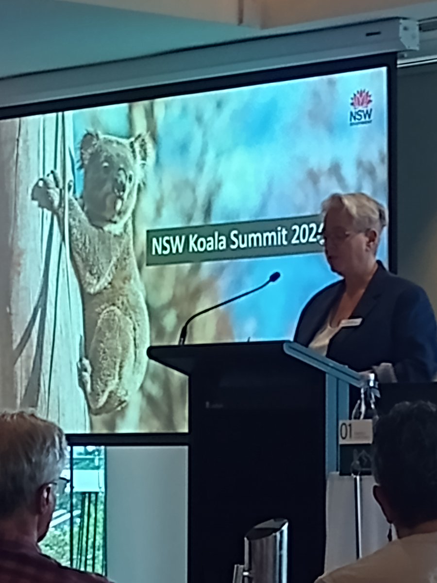 Pleased to hear Hon Penny Sharpe at the NSW Koala Summit recognising that we need to pull apart and remake the NSW Koala Strategy because what we are doing now isn't working