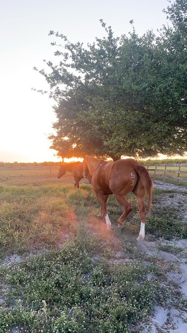 Watch Megan's leaked NSFW photo on TwXstars