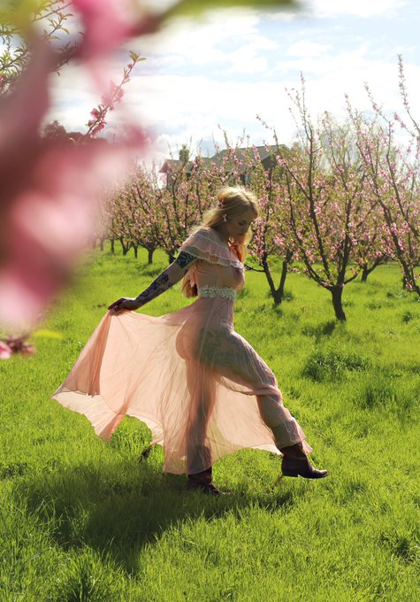 🌸🌸🌸  These are up on  https://t.co/y5Q34KIyM5 https://t.co/DrlE8wb6VX