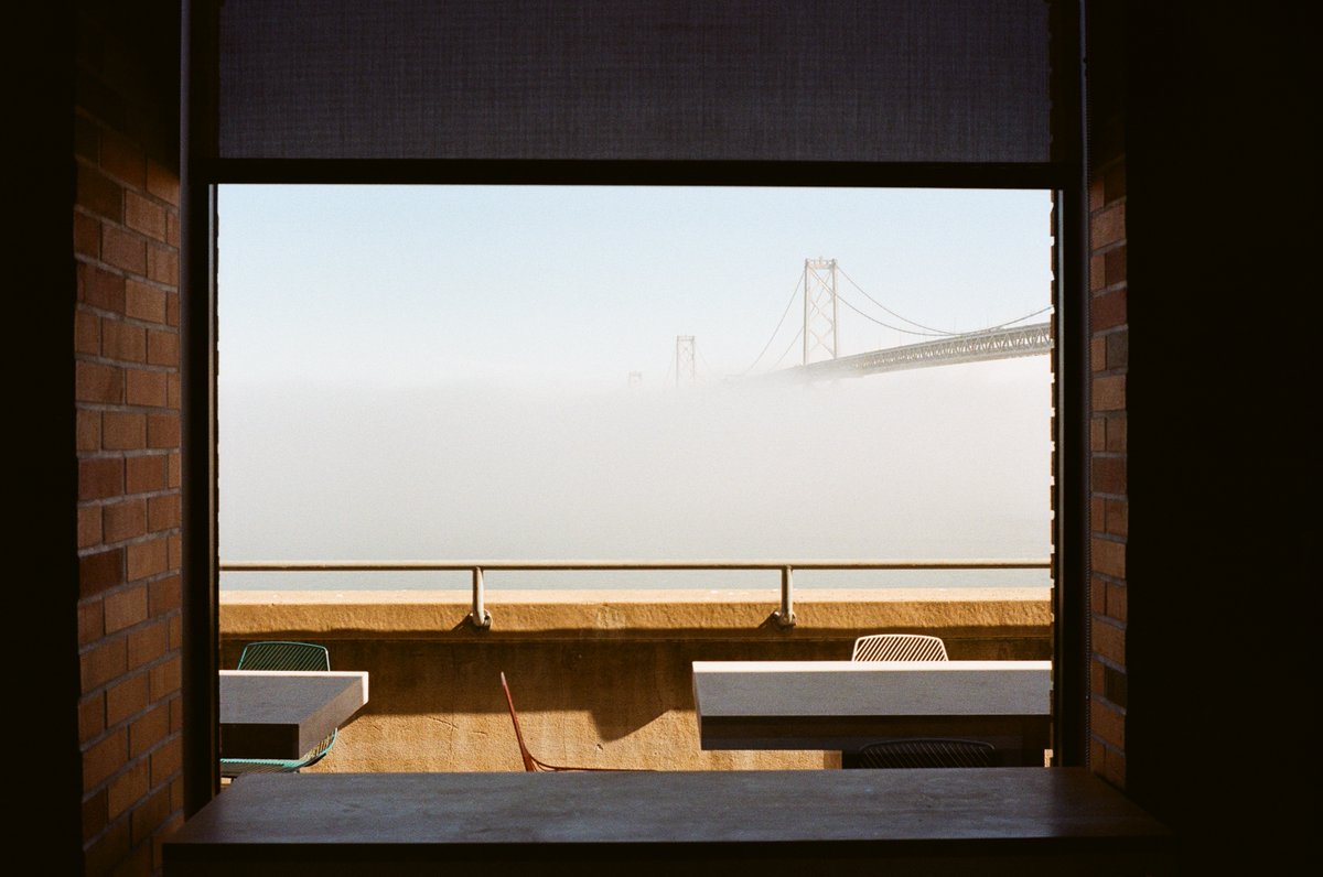 Our latest PICTURE OF THE WEEK is called 'Foggy View', taken by #LFIgallery user Jingyu Wu!